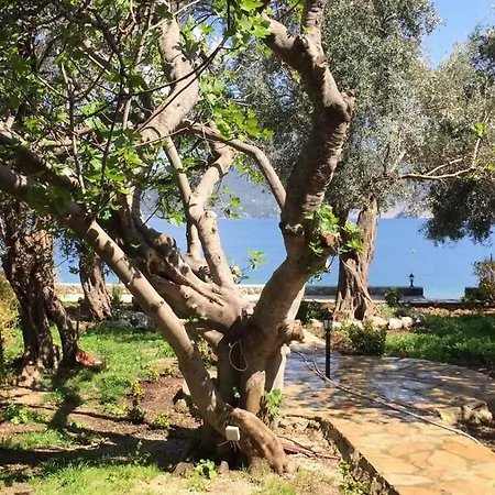 Kapri Sahil Evleri * 塞利米耶