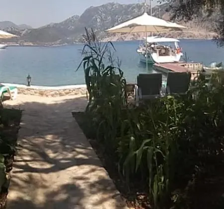 度假居 Kapri Sahil Evleri